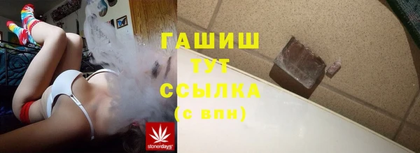 спиды Бердск
