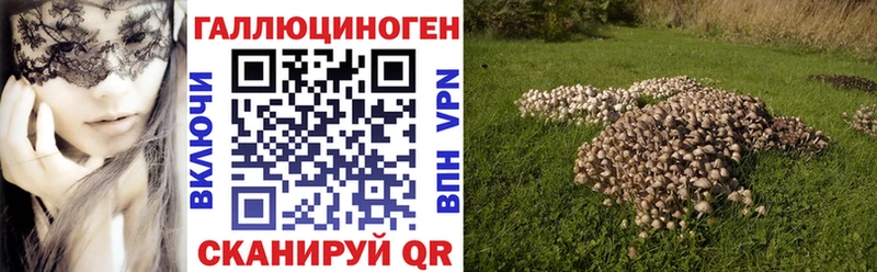 Галлюциногенные грибы Psilocybe  гидра рабочий сайт  Сосногорск 
